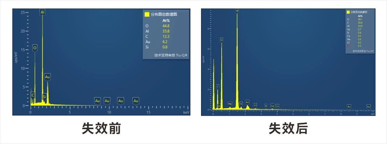 微信圖片_20231202175921.jpg